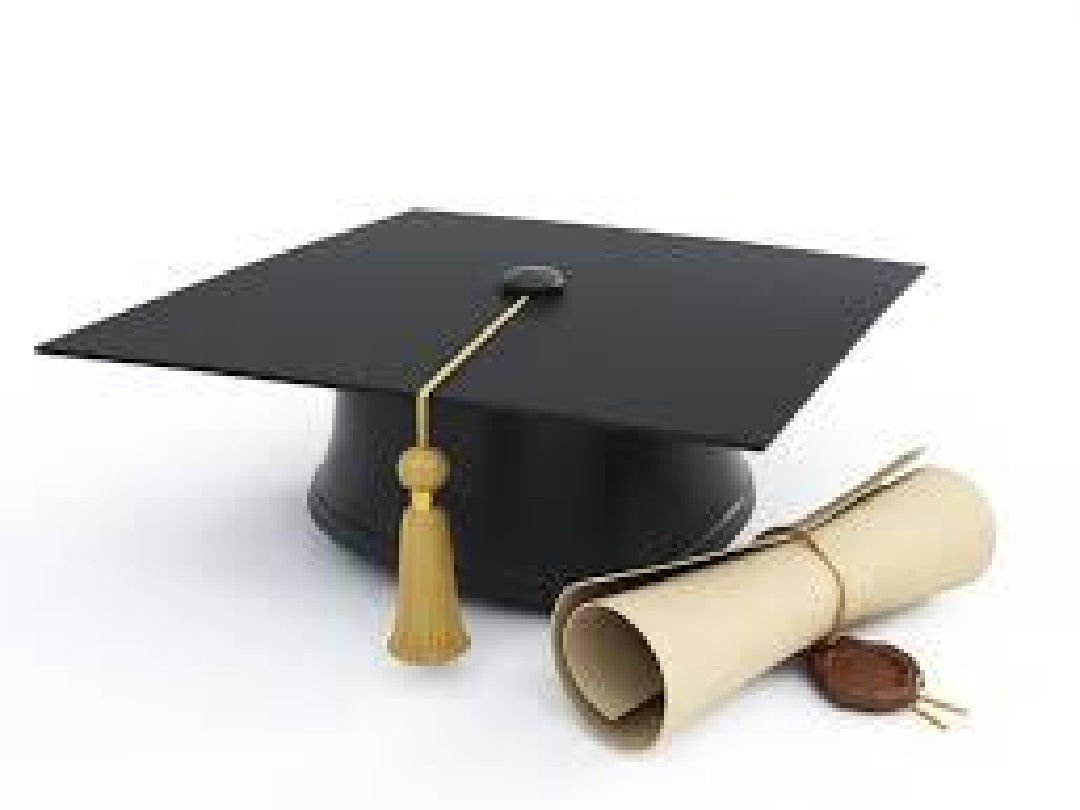 PhD Dissertation Successfully Defended Within the Framework of the BERNICA International Project
